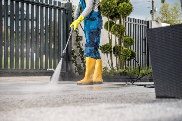 Best Deck Pressure Washing  in Beechwood, MI