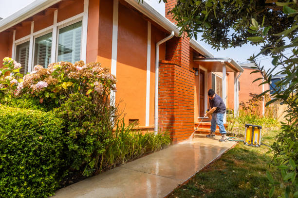 Best Roof Power Washing Services  in Beechwood, MI