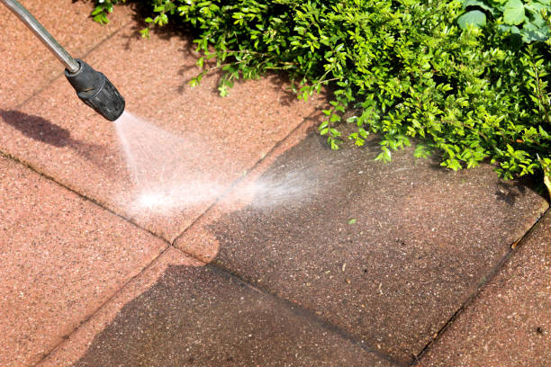 Best Fence Pressure Washing  in Beechwood, MI